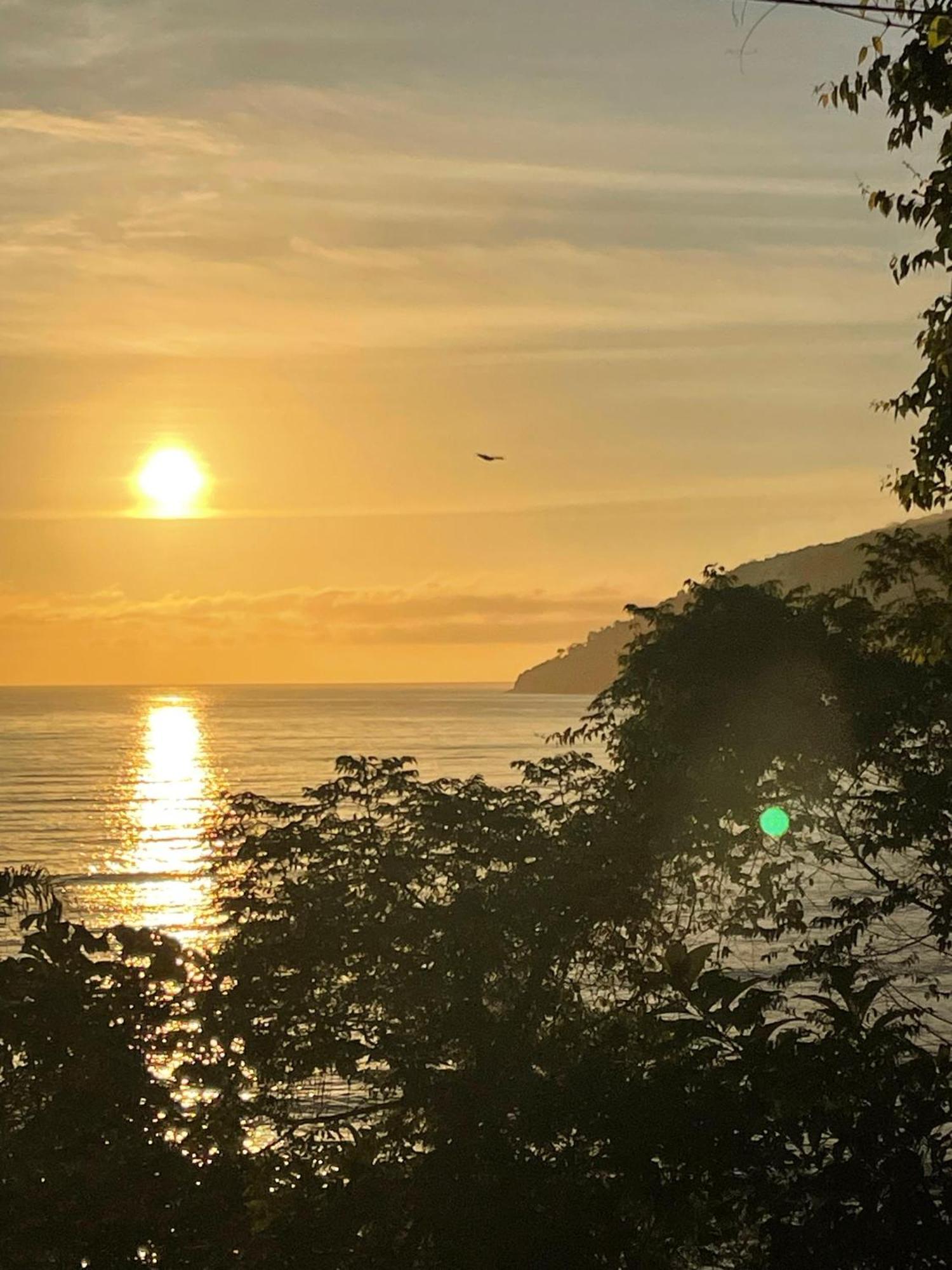 Ubatuba Wild Surf Hostel Dış mekan fotoğraf